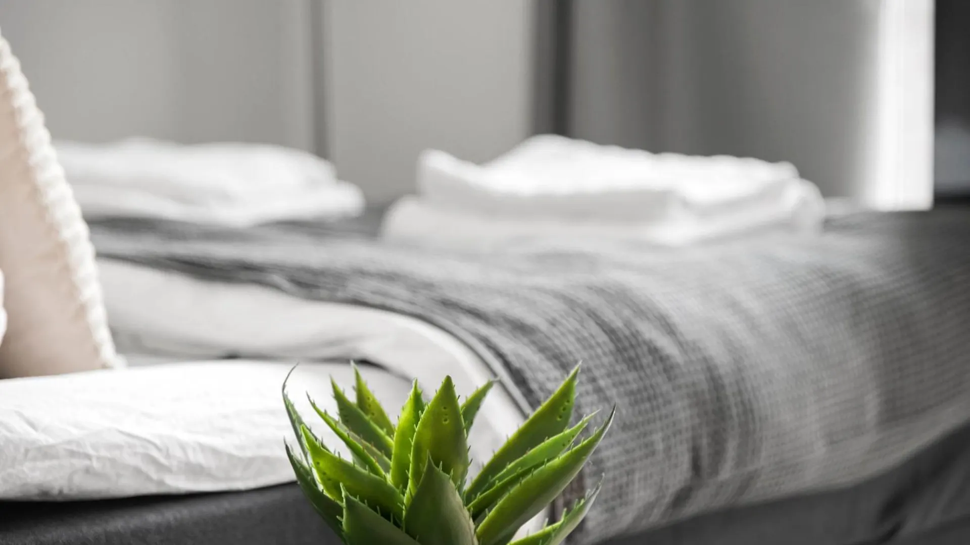 Peaceful Studio Apartment Århus